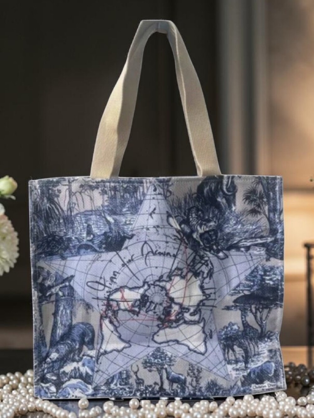 Dior Blue and Beige Canvas Tote with Map Star Motif ( All Around The World)